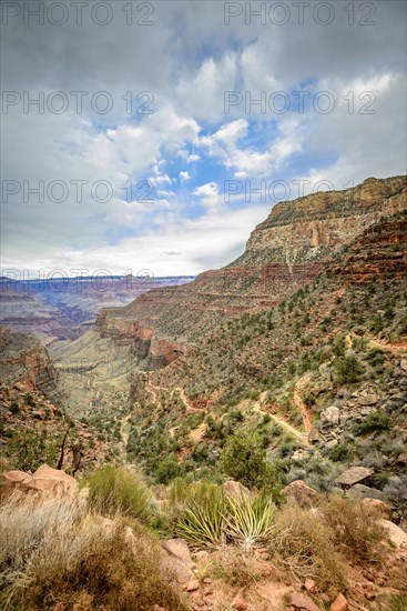 Gorge of the Grand Canyon