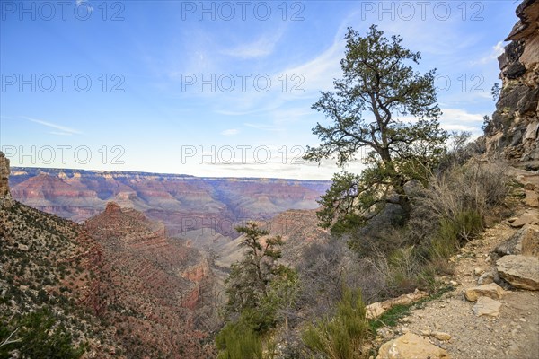 Gorge of the Grand Canyon