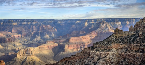 Canyon landscape