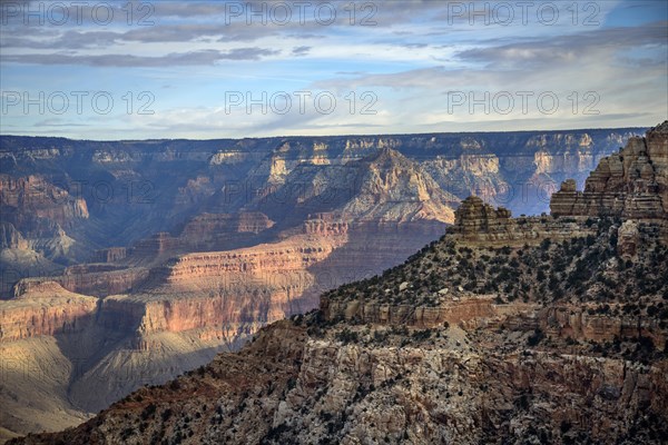 Canyon landscape