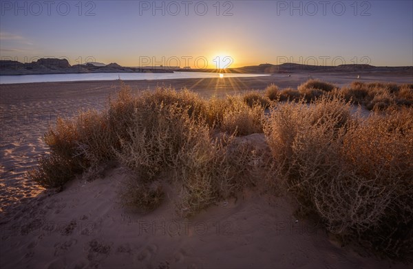 Sandy beach beach of Lone Rock Beach at Lake Powell