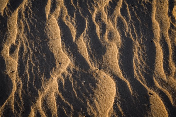 Wave structures in the bright sandy beach