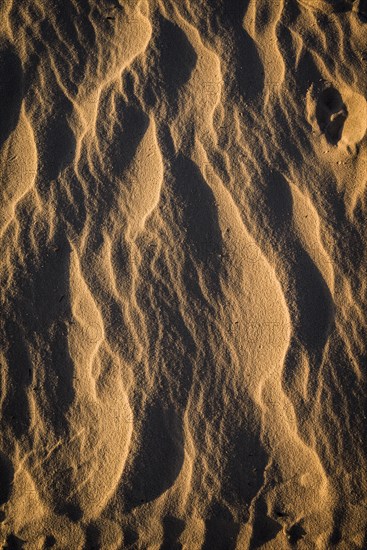 Wave structures in the bright sandy beach