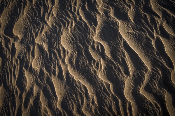 Wave structures in the bright sandy beach