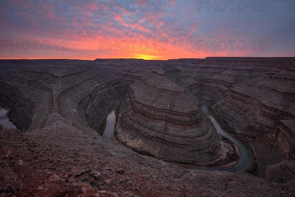 Goosenecks at sunset