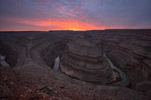 Goosenecks at sunset