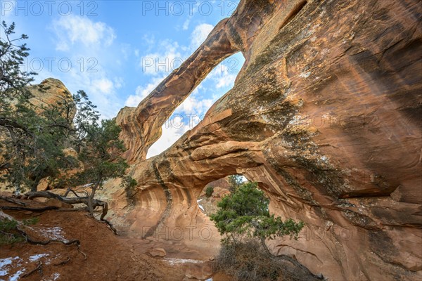 Double O Arch