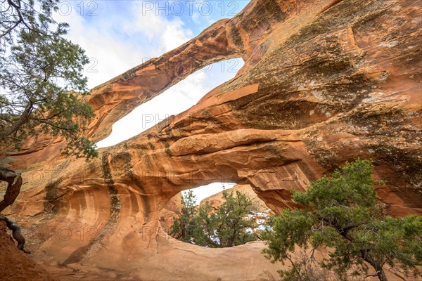 Double O Arch