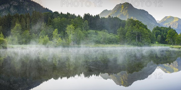 Moor pond with early fog