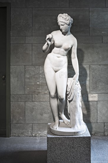 Venus with the apple