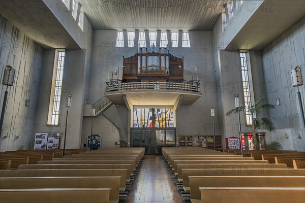 Organ gallery