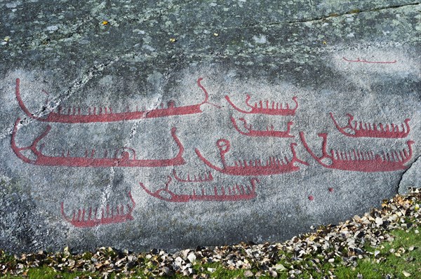 Historical rock carvings