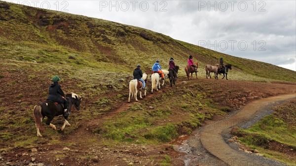 Group of riders on Icelandic horses