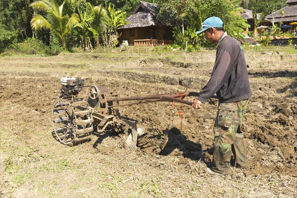 Rice farmer with motor plough on a rice field