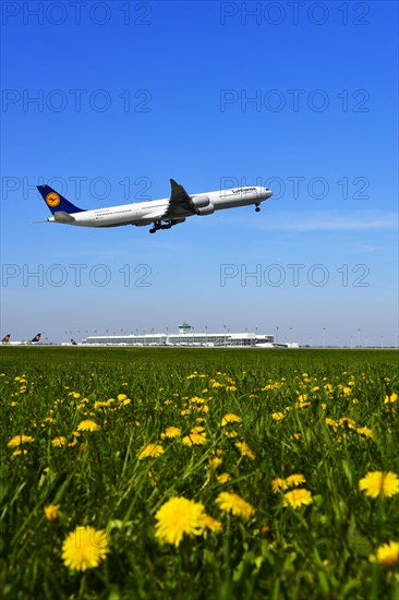 Lufthansa Airbus A 340-600