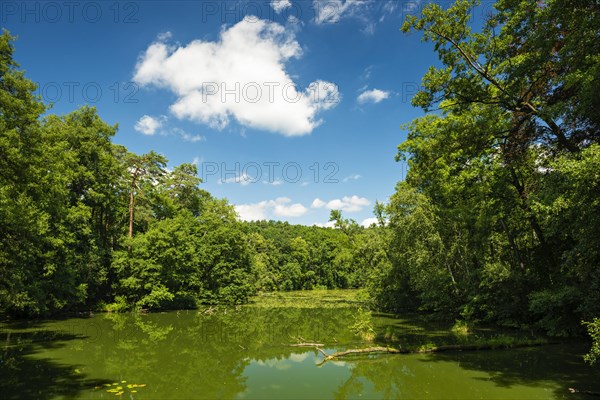 Lake Langersee or Langer See