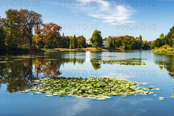 Autumn in Worlitz Park