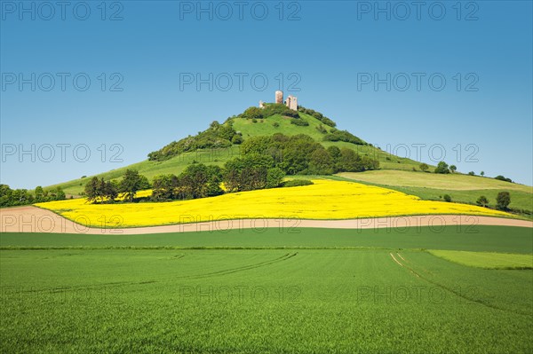 Desenberg Castle