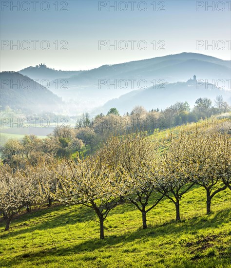 View of two castles