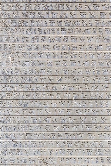 Cuneiform inscription at the walls of Apadana palace and staircase