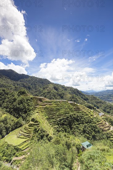 View of the rice terraces as seen from the Banaue viewpoint