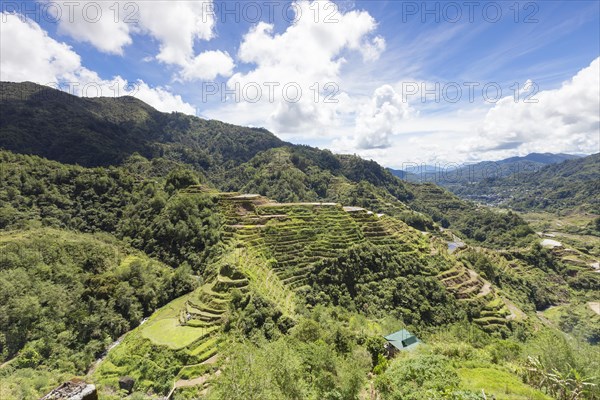 View of the rice terraces as seen from the Banaue viewpoint