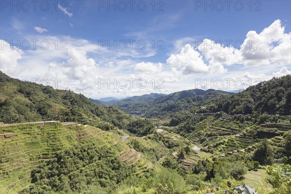 View of the rice terraces as seen from the Banaue viewpoint