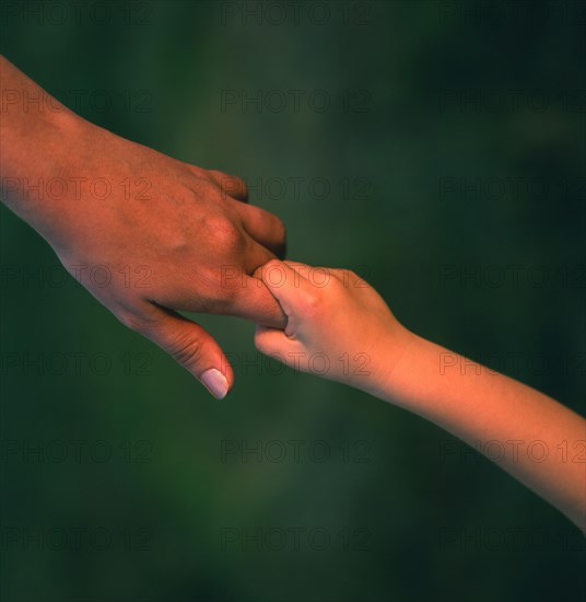 Child's hand holding the finger of his mother