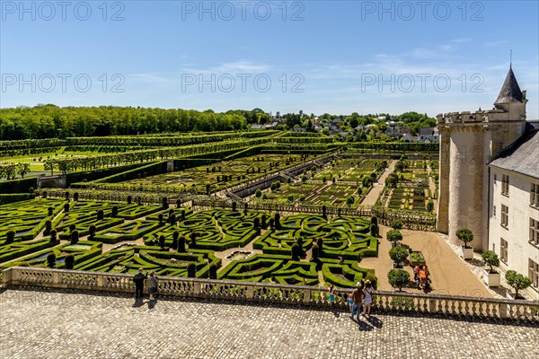 Chateau de Villandry and its gardens