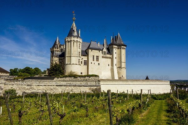 Chateau de Saumur