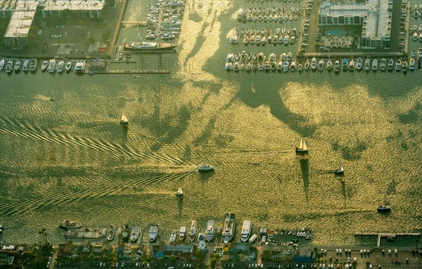 Marina Venice Yacht Club