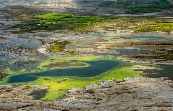 Small lakes in the Burrenfelsen