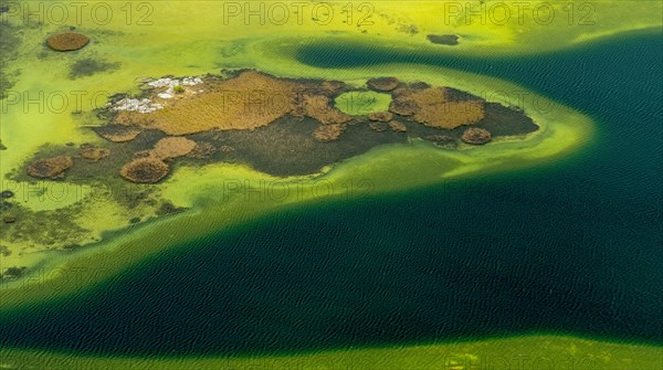 Small lakes in the Burrenfelsen