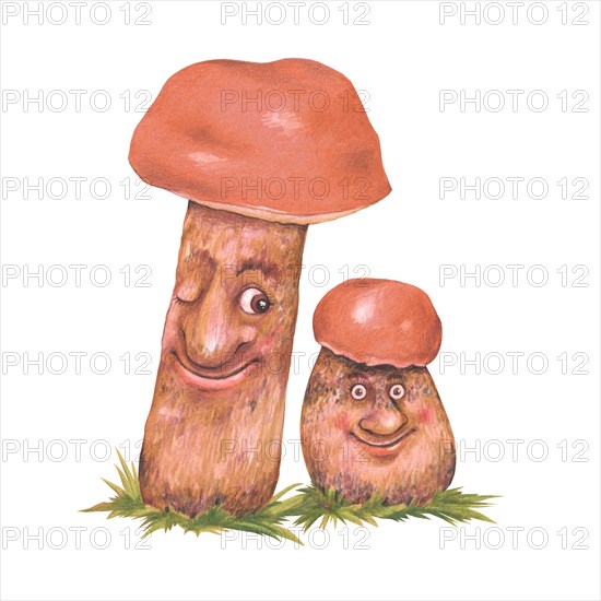 Leccinum (Leccinum)