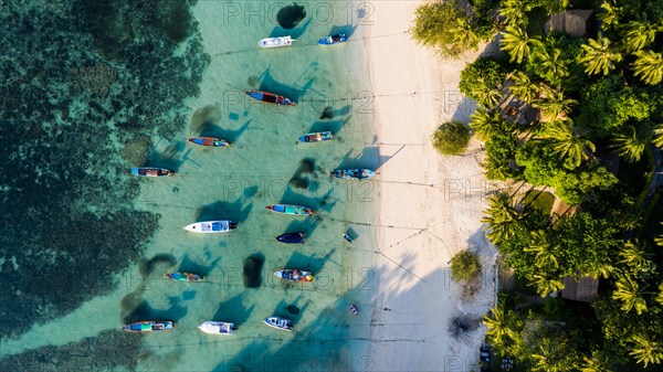 Beach with palmes and boats