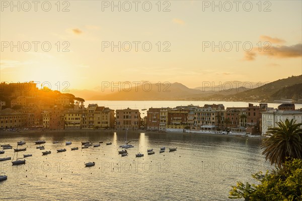 View of the village with harbour in the bay Baia del Silenzio at sunset