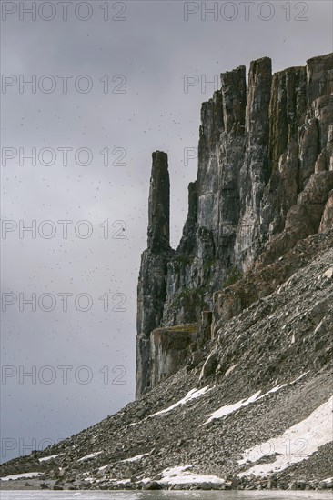 Bird cliff Alkefjellet