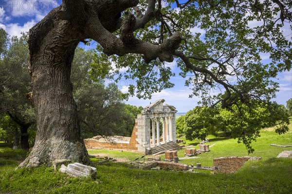 Ruin of a Doric Buleuterion