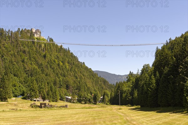 Ehrenberg Castle with pedestrian suspension bridge