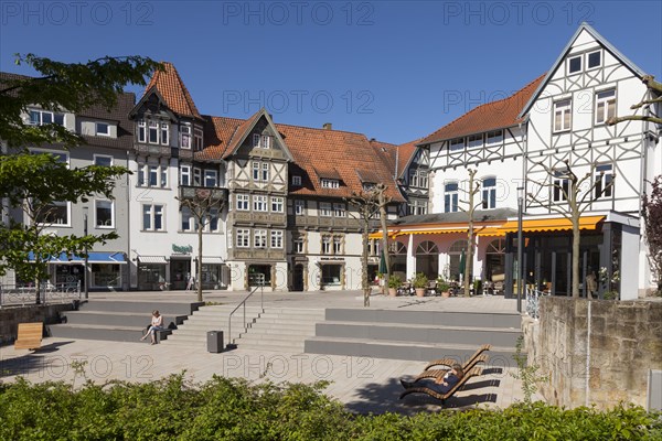 Timbered houses