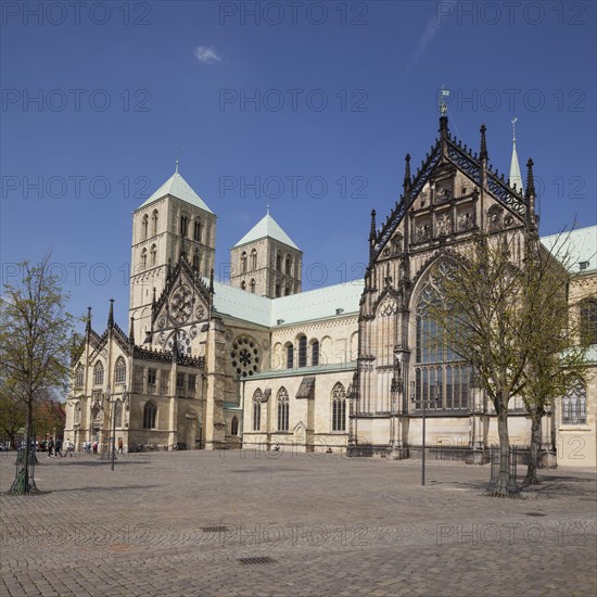 Munster Cathedral