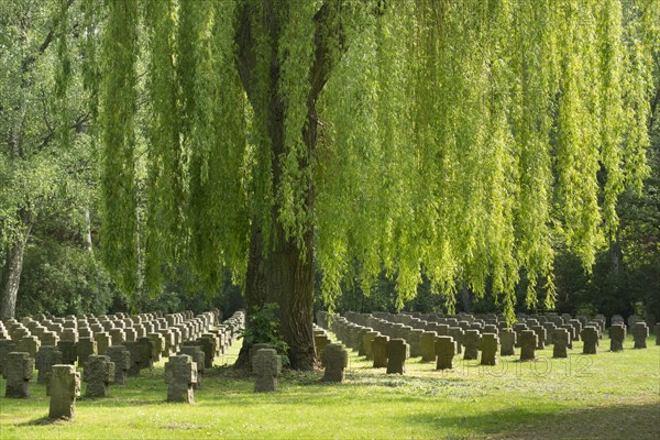 Stone crosses under weeping willow