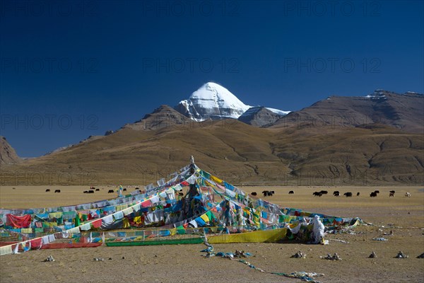 Prayer Flags