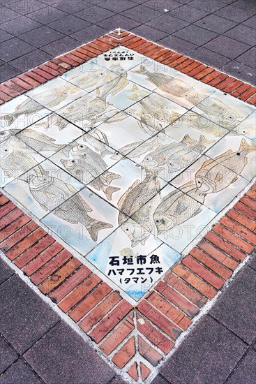Floor tiles with fish pattern in street