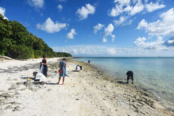 People collecting star sands or Hoshi-zuna at Kaiji Beach