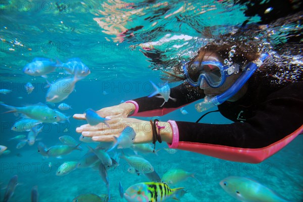 Young woman snorkeling in Ishigaki