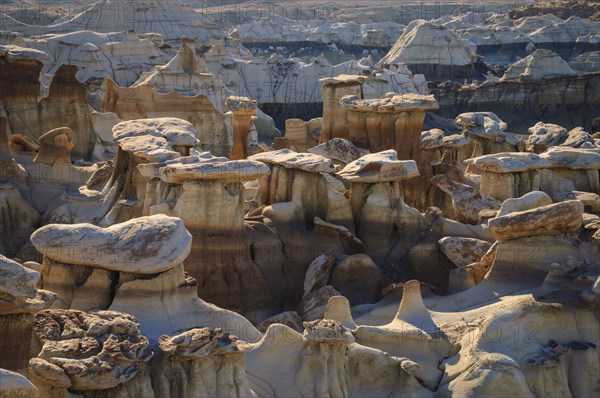 Hoodoos