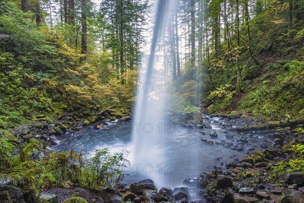 View behind Ponytail Falls or Aka Upper Horsetail Falls