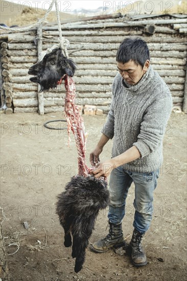 Traditional cooking of a goat with hot stones in its belly