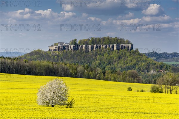 Agricultural landscape